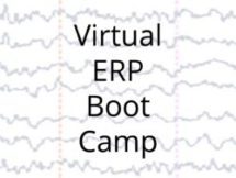 Virtual ERP Boot Camp